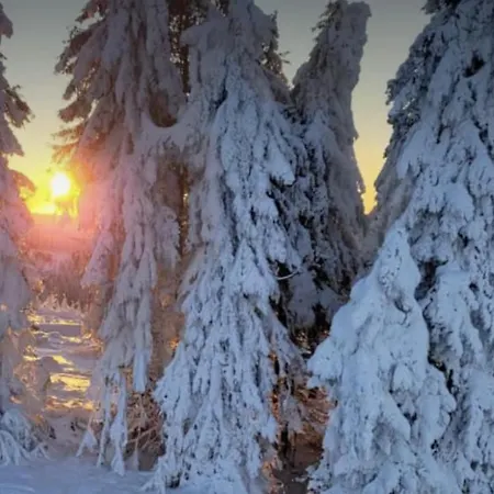 Jaeger Apartamento *