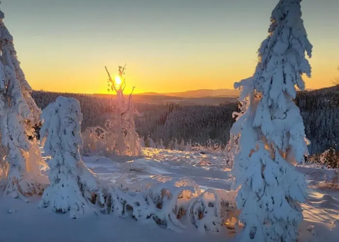 Jaeger Apartman Willingen