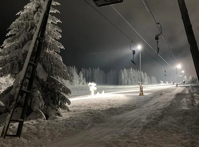 Jaeger * Willingen (Upland)